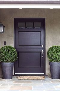 color plum door color ideas